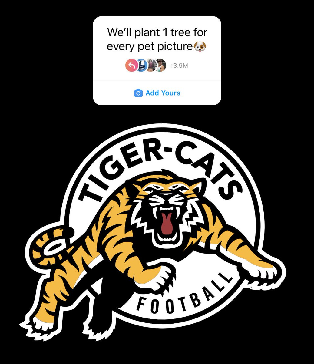 Toronto Argonauts tweet media