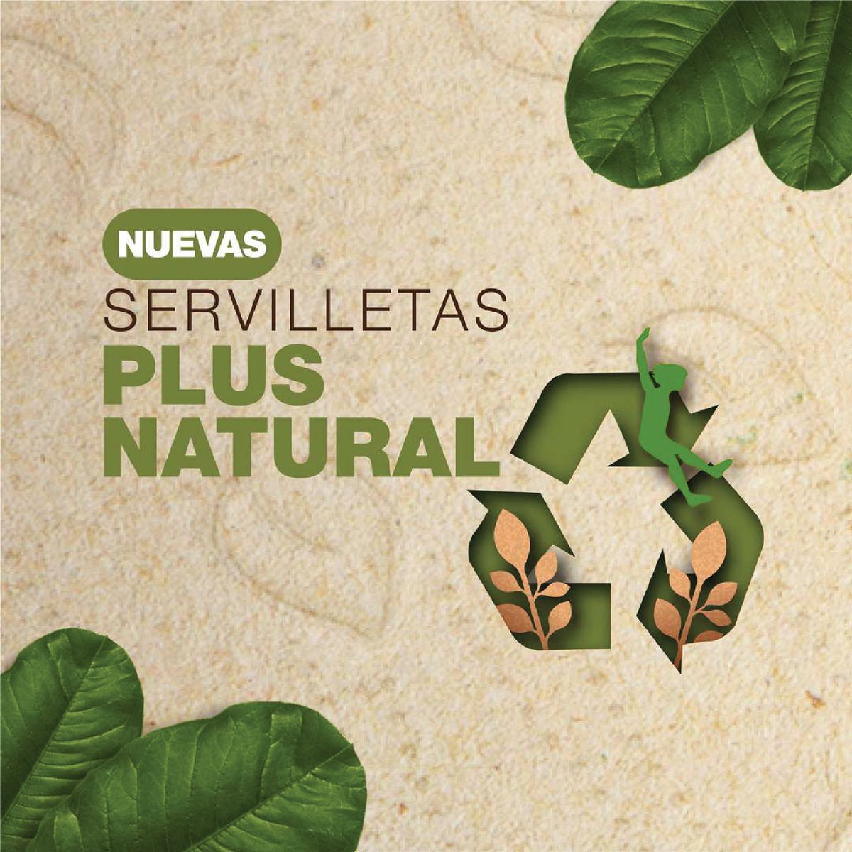 CorpFamilia's tweet photo. La innovación y la sostenibilidad van de la mano en Grupo Familia. Hoy queremos presentarles la nueva innovación de nuestra marca Familia Institucional, las Servilletas Plus Natural, una solución superior de higiene y aseo. https://t.co/c9dLNP3z8m