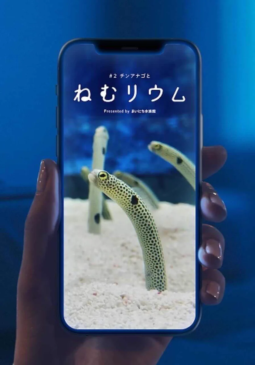 スマホでチンアナゴを見ながら寝落ち！？すみだ水族館で睡眠導入ライブ「ねむリウム」を開催！