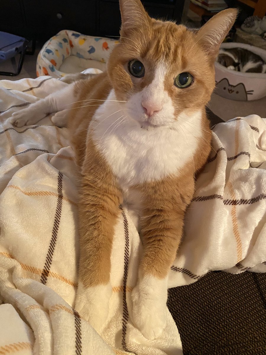 This goofy guy #superseniorclub