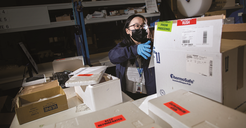 bc_pharmacy's tweet photo. The year's flu season: Direct Flu Vaccine Distribution Kicks Off In B.C. and #pharmacies, distribution centres and #pharmacists kick into high gear. #flu #flushots, #bchealth #bcpoli #bcpharmacy https://t.co/61HYXNIdyq https://t.co/H4GISVhK2n