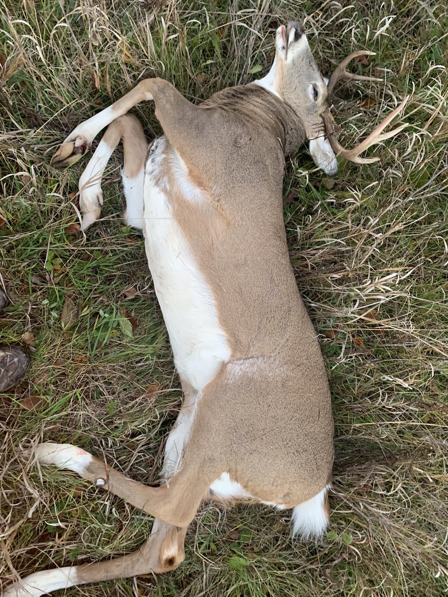 PrecisionAg360 tweet media