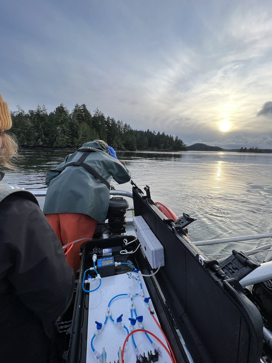 persiakhan_'s tweet photo. Big thanks to @FieldCoast, @StudentsOnIce, and @FishOceansCAN for putting on an awesome workshop this weekend on #microtrolling and #eDNA. Excited to see where these tools can take us in conservation science! https://t.co/6sqwj3kAPX
