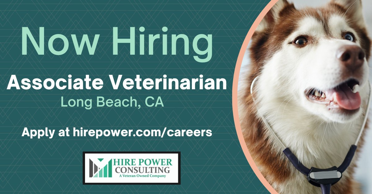 TeamHirePower's tweet photo. If you're a #veterinarian seeking a new opportunity in California, Hire Power Consulting has a great position for you in Long Beach.

Visit https://t.co/6mgauvXgTn to apply.

#hirepower #hirepowerjobs #vetmed #veterinaryjobs https://t.co/DlMH3GCH2w
