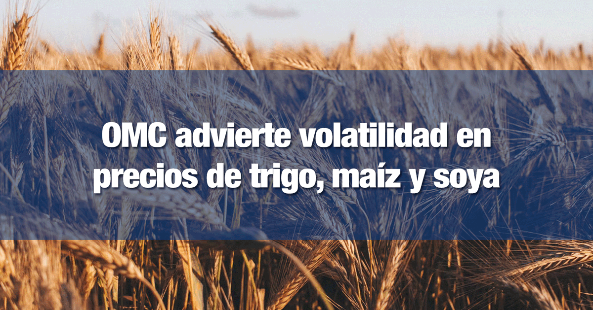 incomexnacional's tweet photo. #INCOMEXInforma
OMC advierte volatilidad en precios de trigo, maíz y soya
Leer más: https://t.co/yQJ1gmF9gK https://t.co/FRM0LcCXUj