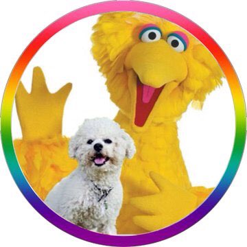 TedCruzPoodle's tweet photo. Thank you @OtterMunchy for our #prideframe 🥰 #NewProfilePic https://t.co/0w5DIbjqVj