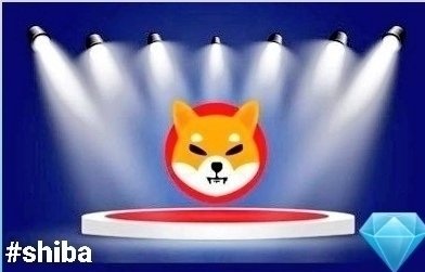 WIFx100's tweet photo. #shiba https://t.co/QZN9Zy9pjh