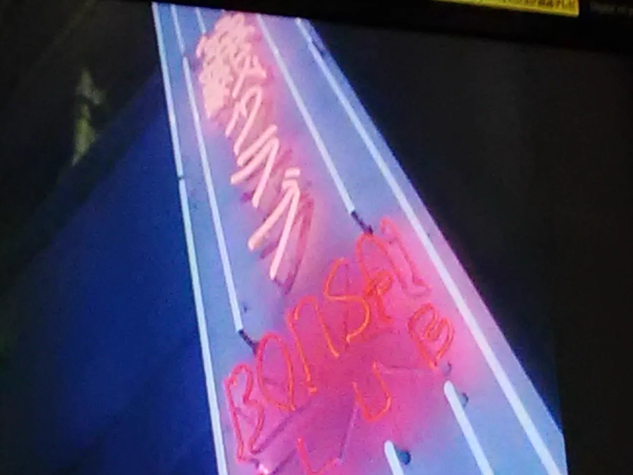 @chogo2009 盆栽クラブ、日本人の娯楽の殿堂です✨ 