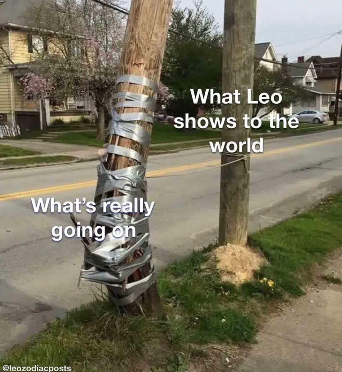 Leo_Tweets's tweet photo. #Leo facts 👏🏼 https://t.co/LV8BXDJC1u