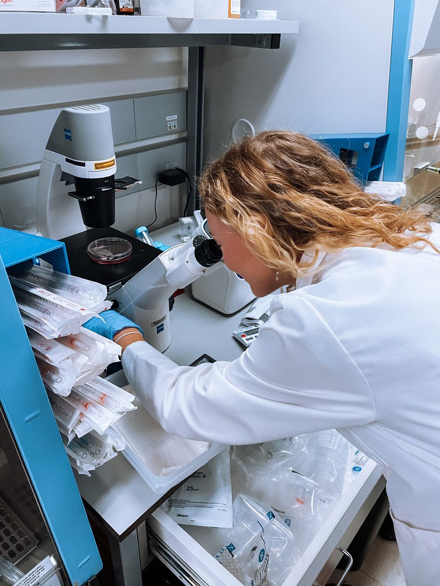 Chloe Kirk tweet media