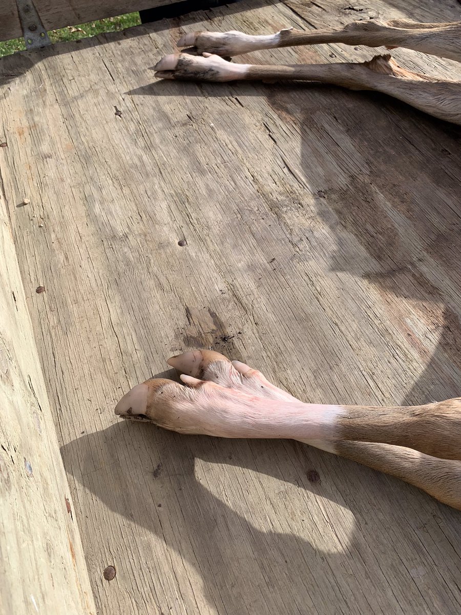 PrecisionAg360 tweet media