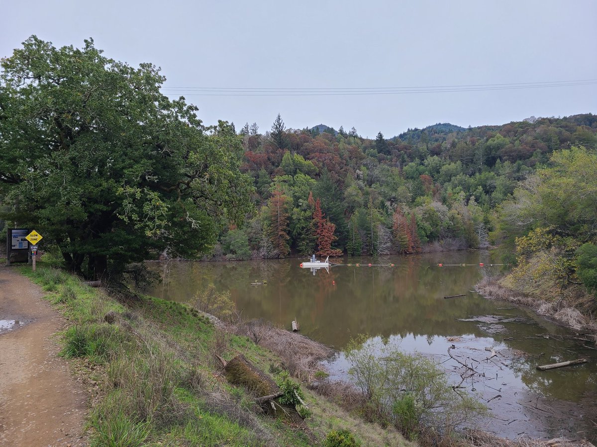 paulferreri's tweet photo. Good to see the water coming back... @MarinWaterInfo #PhoenixLake #Marin https://t.co/osHKycRtNd