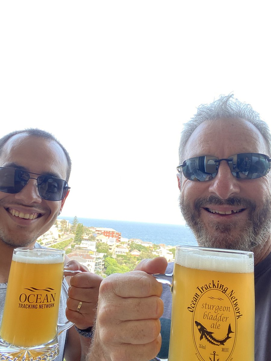 Rob Harcourt tweet media