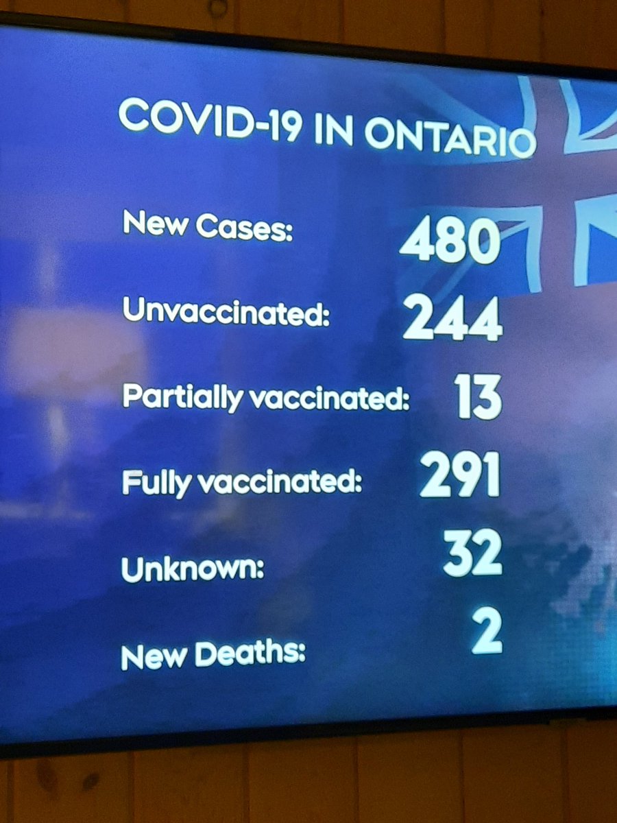 My vaxed husband brought me into the living room to show me this