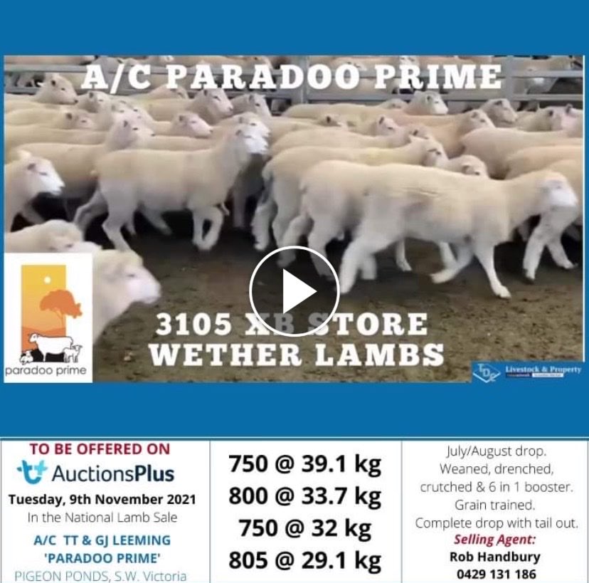 paradooprime's tweet photo. ParadooPrime wth lms up on the box today . Good luck to all. All lms assessed  on sale back on rocket fuel so weights will conservative at lift. https://t.co/Qwcm2Krbho