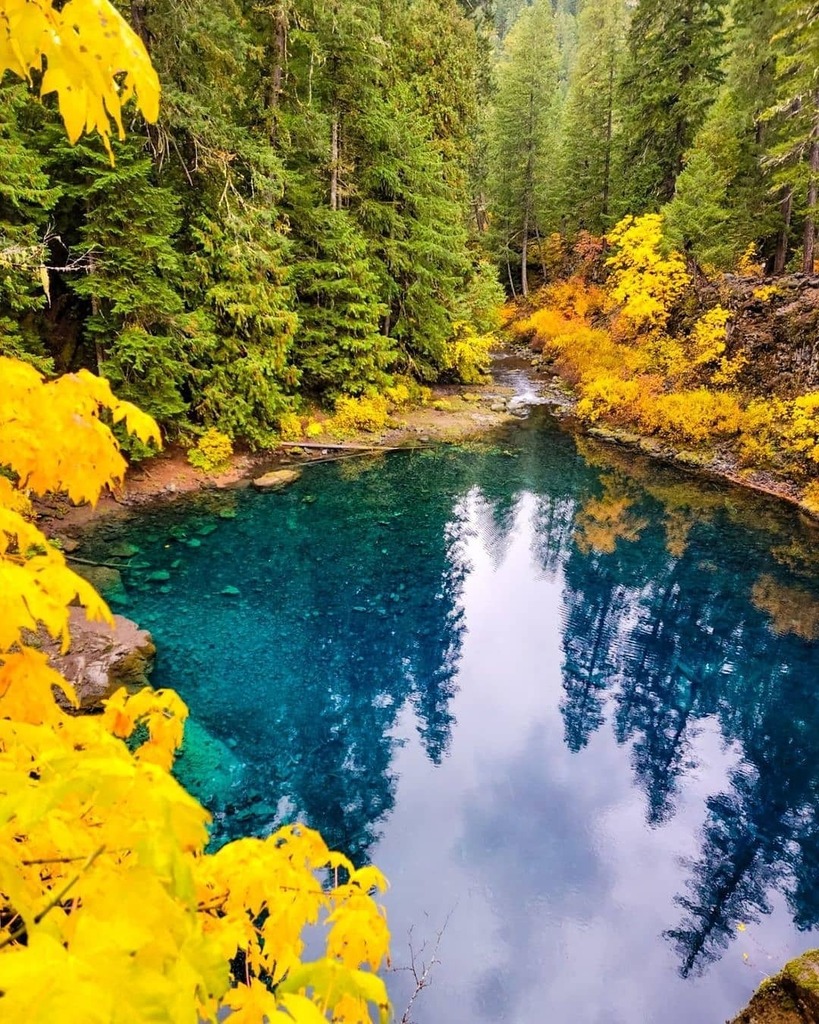 Oregonexplored tweet media