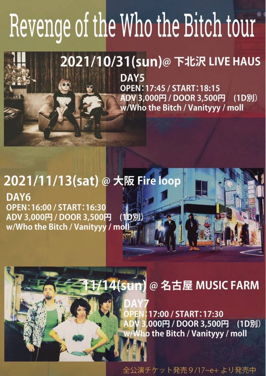 Moll Twitter Search Twitter