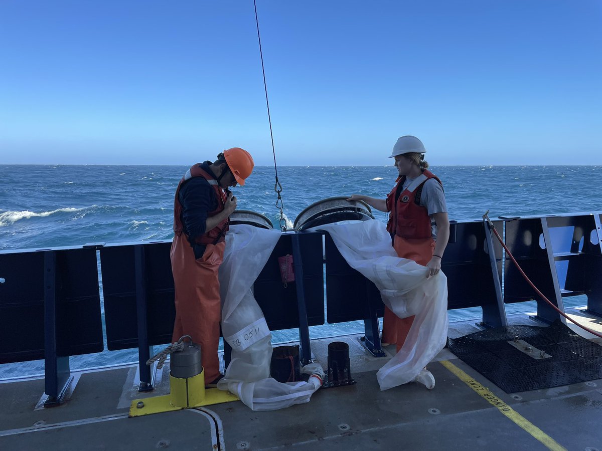 calcofi's tweet photo. Halfway through the Fall #CalCOFI cruise and enjoying the beautiful weather weβve been having! Yesterday there was a 12ft swell but it was still blue skies and sunny βοΈπ
#oceanography #marinescience #rvsallyride #scrippsoceanography #noaa https://t.co/MgnDo7L5og