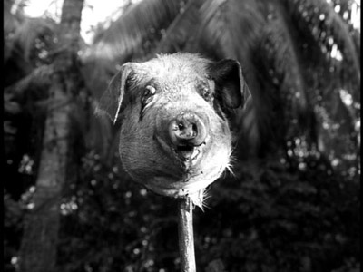 AlayneF's tweet photo. We weren't allowed to watch horror movies as a kid, but when we watched The Lord of the Flies in English class, the pig head scenes traumatized me. For a year I closed my eyes when entering dark rooms until I turned the light on, convinced it would be there.
#StillScaredDammit https://t.co/9oCpScePP0