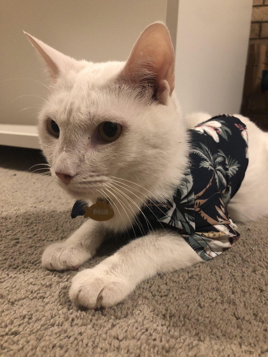 I heard milfs like piña coladas by the beach