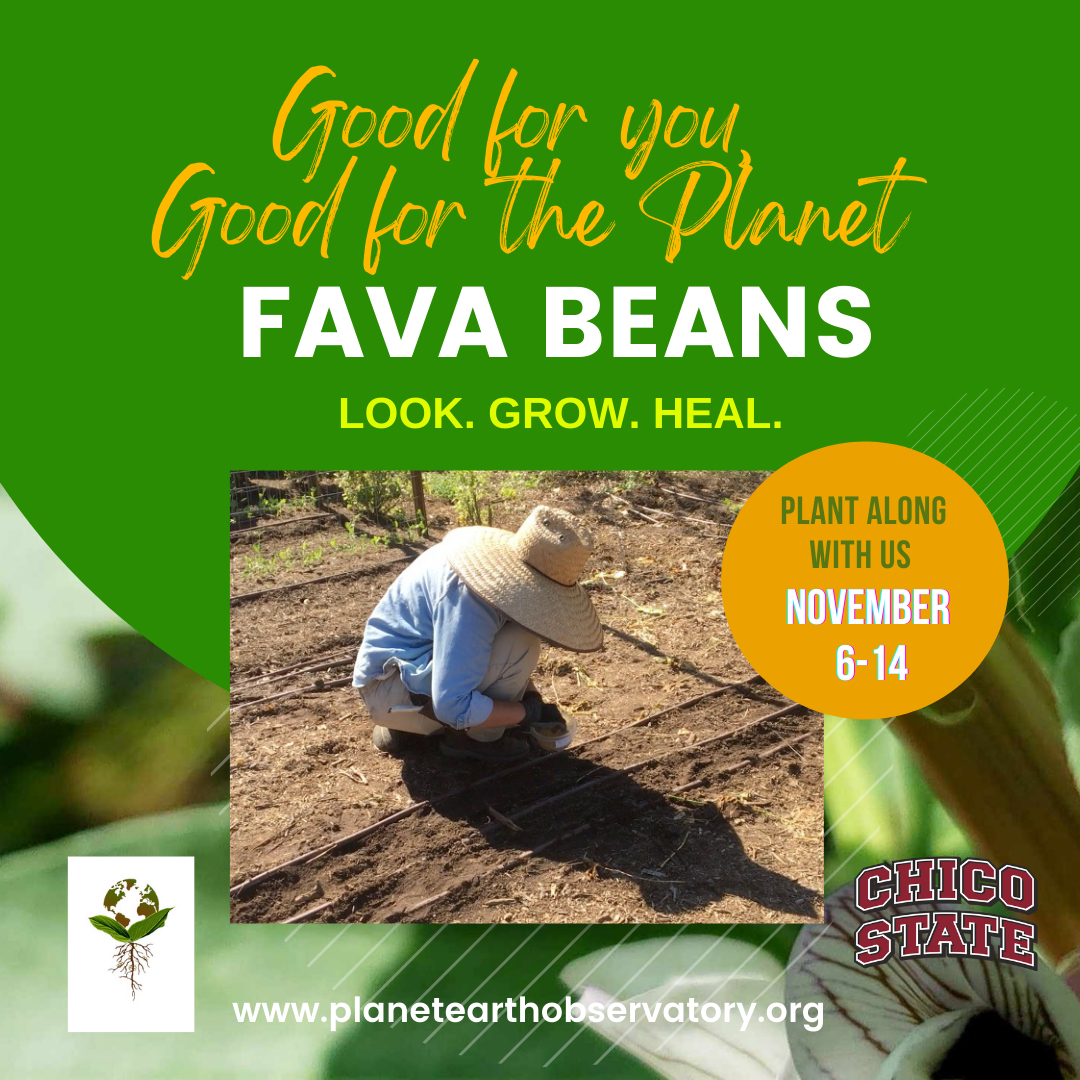 PEObservatory's tweet photo. It's time to get those beans in the ground. Take a photo. Share it with us on Instagram: https://t.co/kM9uNwZhfT https://t.co/lZIqheiRhG