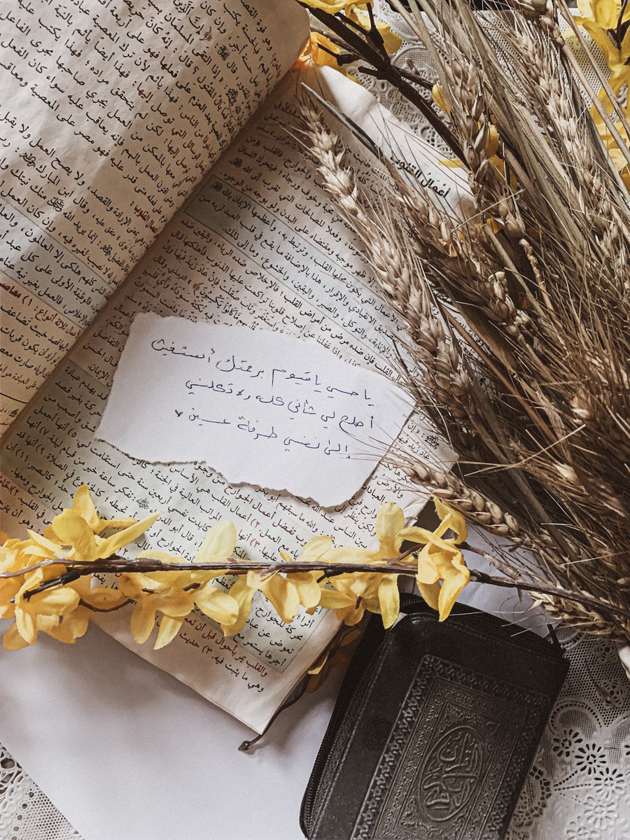 هيـــا. tweet media