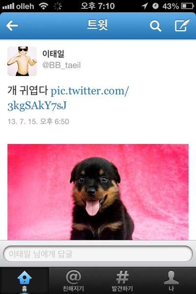 information_bb's tweet photo. 320. 귀여운 개 올리기 대회 https://t.co/GHZTS6Ygae