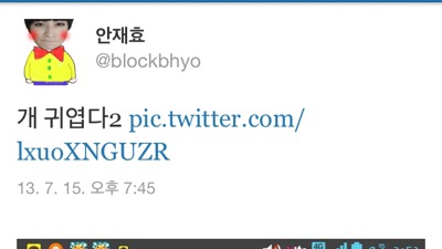 information_bb's tweet photo. 320. 귀여운 개 올리기 대회 https://t.co/GHZTS6Ygae