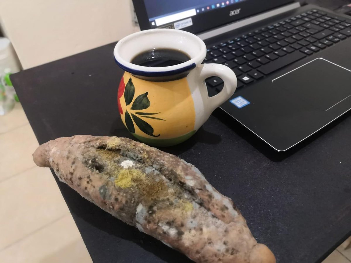 Paprikaquaa's tweet photo. Ya traemos el panecito tieso para estos fríos https://t.co/CalqqA6usA