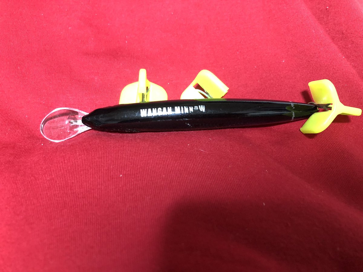 wattadoturi's tweet photo. #プレゼント企画
第三弾
ジャッカル、湾岸ミノー
中古使用品ですがこれも自分使わなくなったのでプレゼントします
参加方法はリツイート＆フォロー
こちらも期間は11/16迄
YouTube登録してくれた方は
当選確率2倍にしますw https://t.co/Rowyr6GOYV