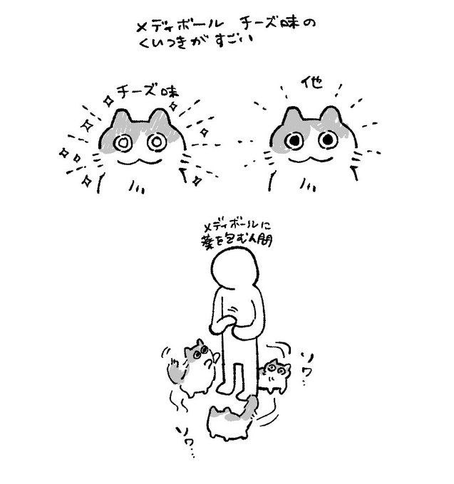 猫、これから先一生薬を飲み続けることになってしまったのでメディボールがあって助かった(PRじゃないです) 