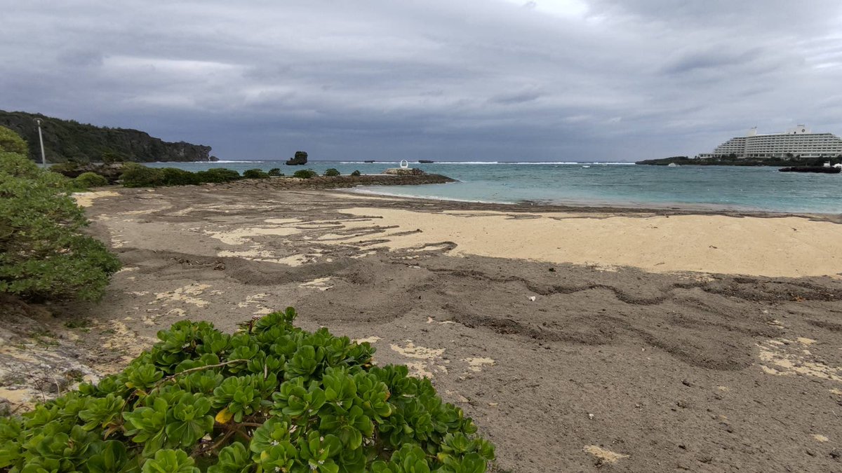 NabeeBeach's tweet photo. 軽石被害が大変な事になりました😭
風が強く砂浜に打ち上げられてしまいました、、
#軽石 #小笠原海底火山 #沖縄 https://t.co/tOwm0vAmYJ