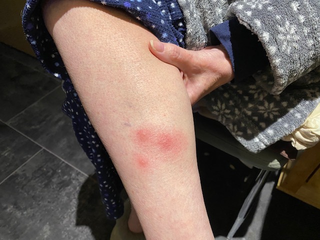 Sir Peter Morris: Just fed up of all the nonsense. tweet media