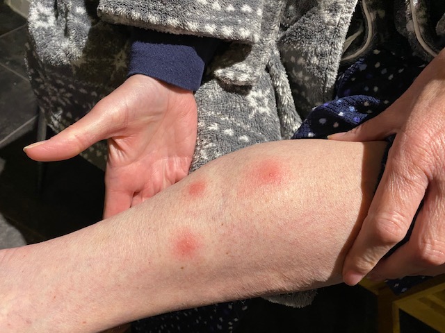 Sir Peter Morris: Just fed up of all the nonsense. tweet media