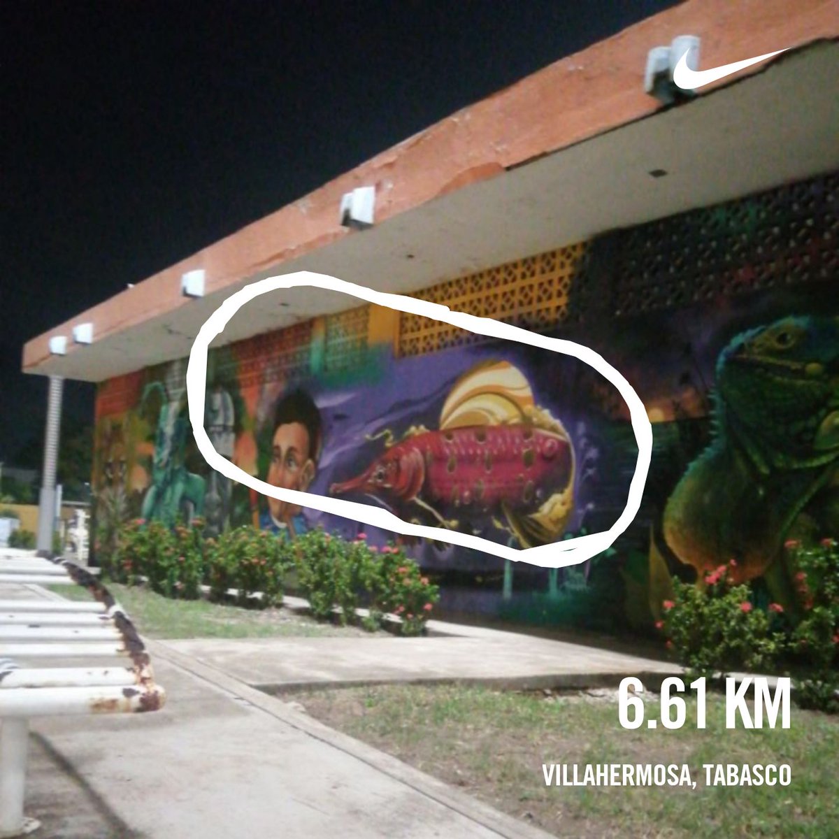 SoyOscarSC1's tweet photo. Me chingué la rodilla y ahí vamos de nuevo https://t.co/ITYU6TMRKp