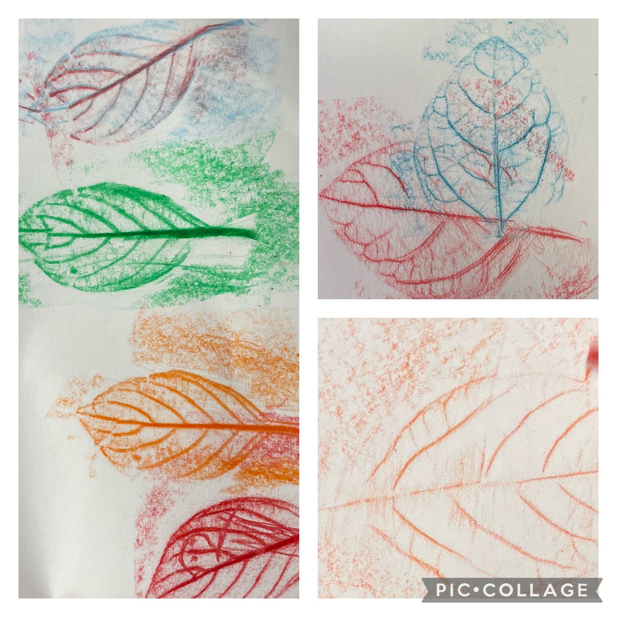 What a great day for reading “We’re Going on a Leaf Hunt” with @Miss_Maria_GW’s class then actually going on a leaf hunt for leaf rubbings! <a href="/MahwahMediaCntr/">Mahwah Elementary Library/Media</a> <a href="/MahwahGW/">George Washington School, Mahwah NJ</a> #MahwahConnects #GWGrowing