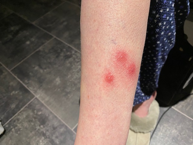 Sir Peter Morris: Just fed up of all the nonsense. tweet media