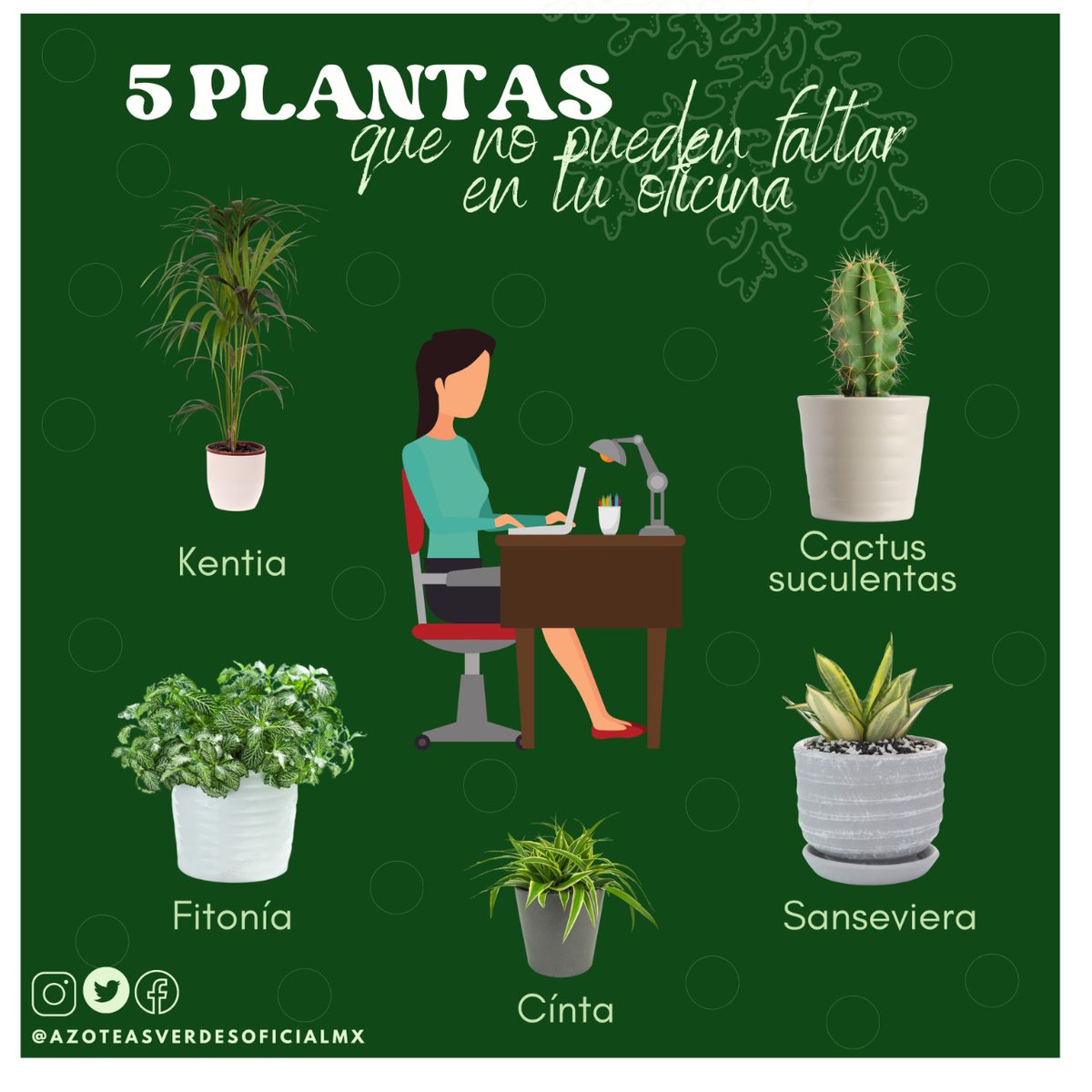 Azoteas Verdes tweet media