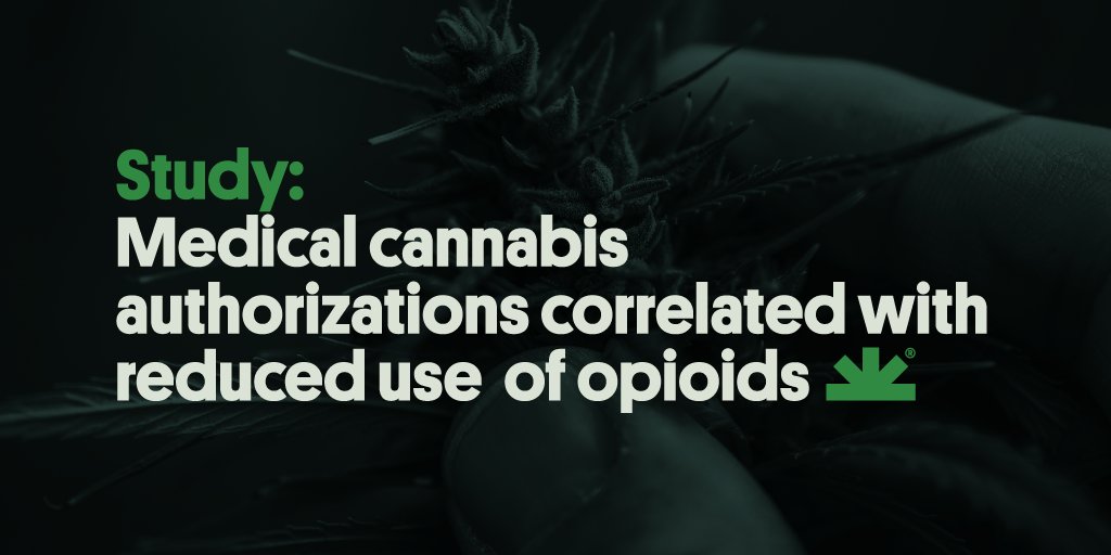 Medical #cannabis patients reduce their use of opioids at rates greater than matched controls, according to longitudinal data published in the journal BMC Public Health.

Read more from #NORML: bit.ly/3wgjBzz