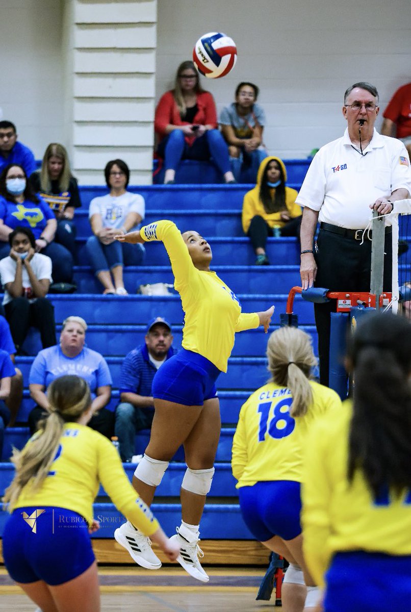 Clemens Volleyball tweet media