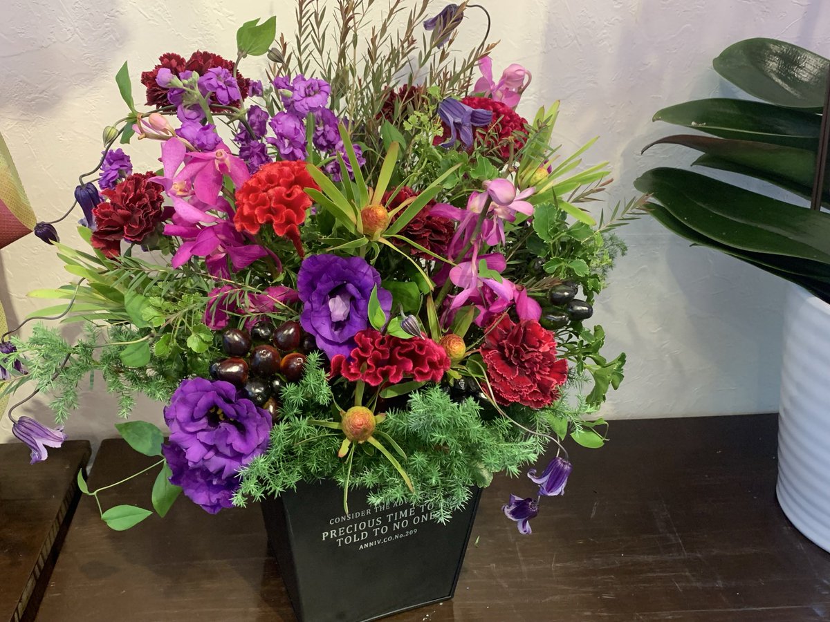 Hiuメンバーで運営 高級胡蝶蘭専門 グリーンベル 花屋 日本橋兜町 Greenbell1999 Twitter Hiuメンバーで運営 高級胡蝶蘭専門 グリーンベル 花屋 日本橋兜町 Greenbell1999 Twitter