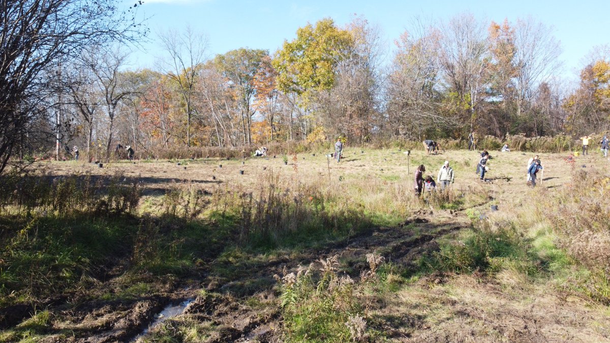 McMaster Centre for Climate Change tweet media