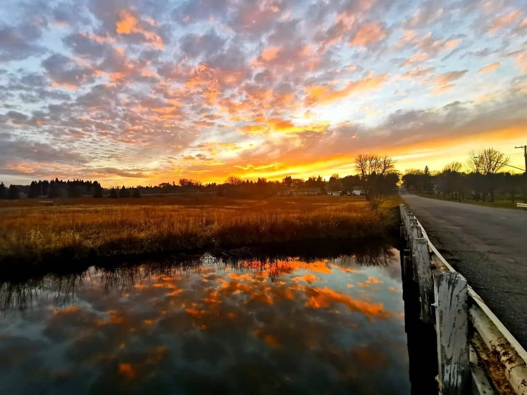 Neepawa Tourism tweet media