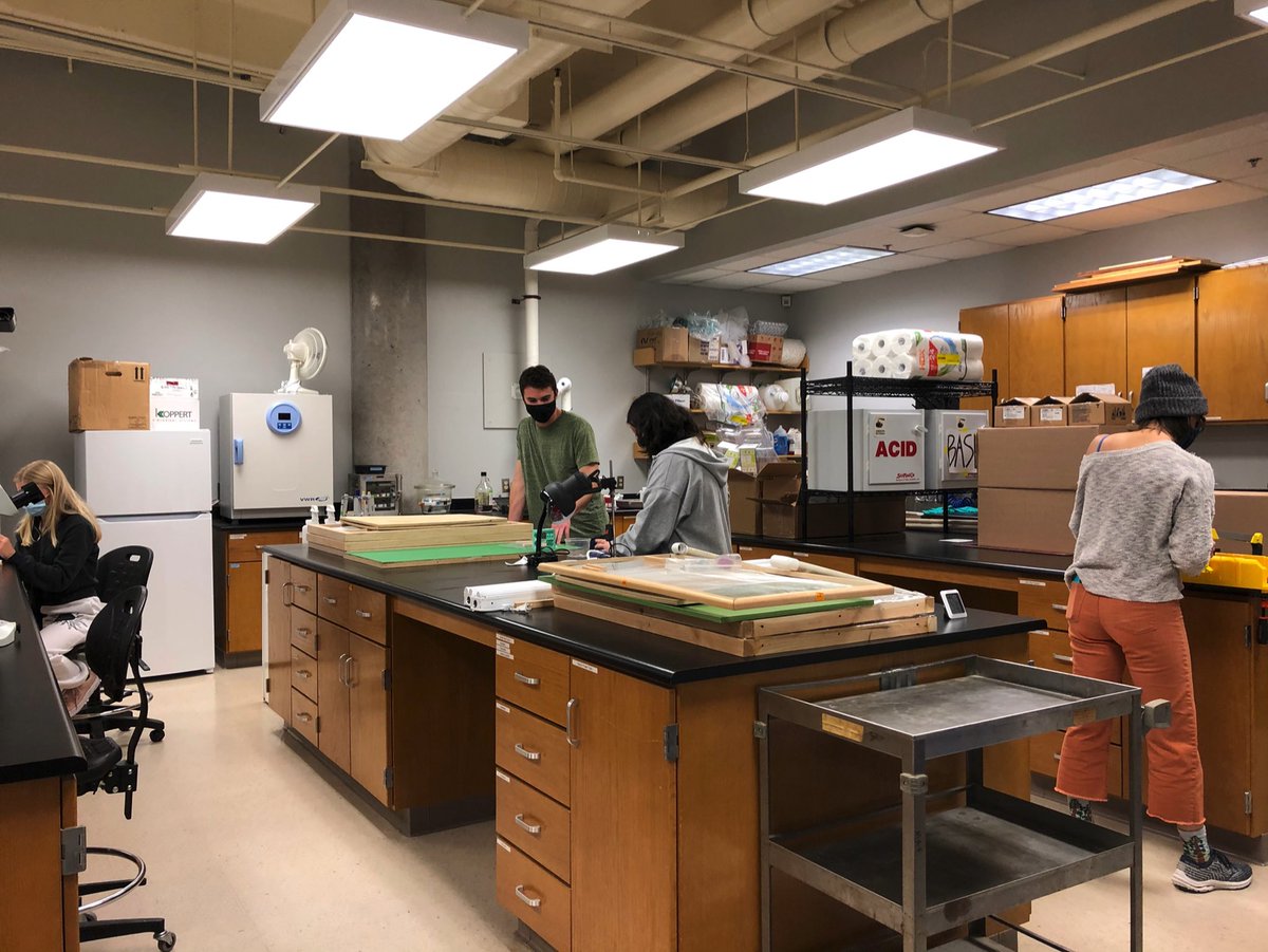Everyone is hard at work in the Lichtenberg Lab! Featuring <a href="/larutaylor/">Laura Taylor</a>, <a href="/rob_whyle_v/">Rob Whyle</a>, Marie and Alyssa