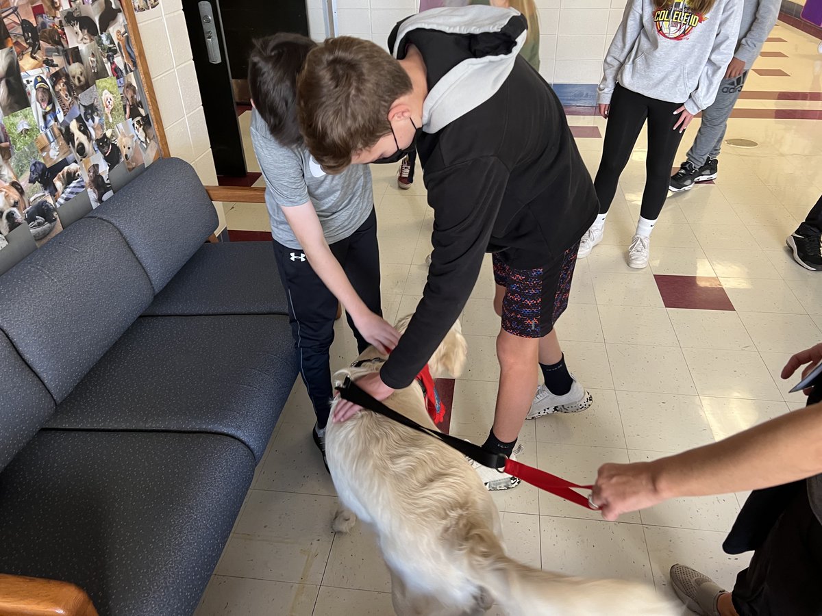 MrDenglerD95's tweet photo. It was the first day that Piper visited #LZMSS! She was definitely the star of the show! I know that our students and staff are excited about her return in a couple of weeks! #joyfuljourney #D95SELirl https://t.co/2canNjb7Nk