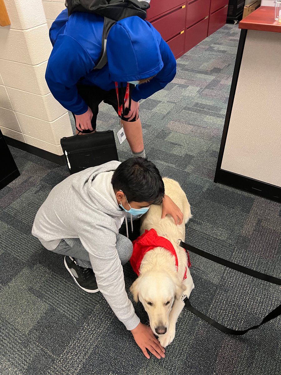 MrDenglerD95's tweet photo. It was the first day that Piper visited #LZMSS! She was definitely the star of the show! I know that our students and staff are excited about her return in a couple of weeks! #joyfuljourney #D95SELirl https://t.co/2canNjb7Nk