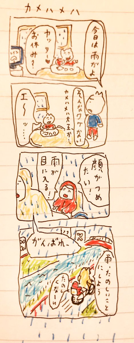 カメハメハ 