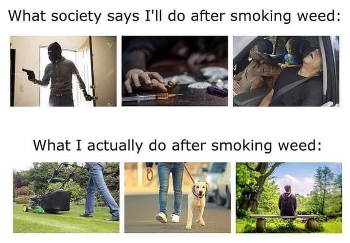 topcutfarms's tweet photo. Bwhahahaha 
#MemeMonday #topcutfarms #newaromaoftacoma #nuglife #northwestbest #productivestoners #HIGHfunctioning #getshitdone https://t.co/OQgbYOLeTW