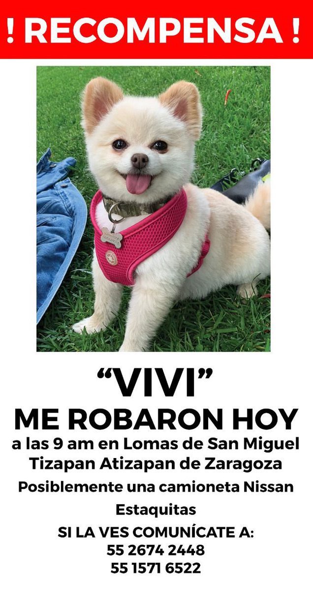Si saben algo información con <a href="/prensadanna/">Danna Vazquez</a> 🐶 😢