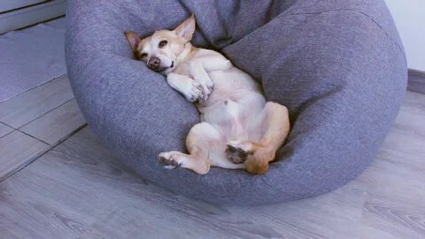_Gio_Official's tweet photo. Me: sucking my dick is not an apology 

Her: you want head or nah

Me: I’m still mad at you but don’t forget to do that tongue trick https://t.co/X3DejFxF7E